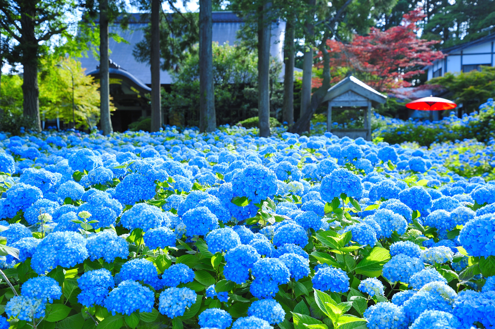 雲昌寺（秋田県男鹿市）