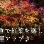 紅葉の深まる鎌倉で、金運アップ