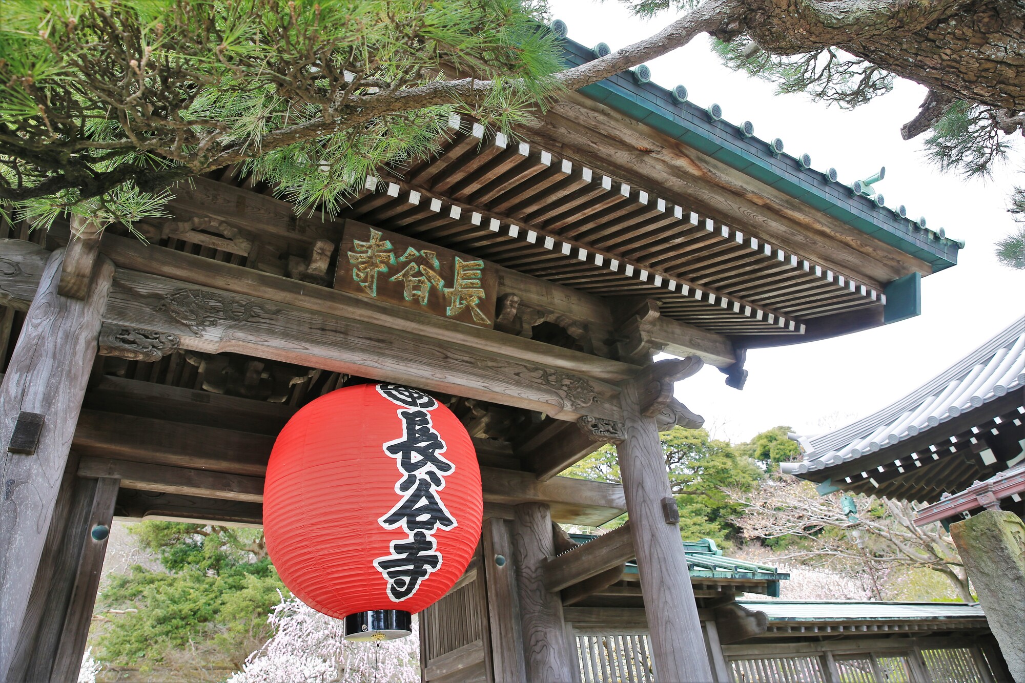 鎌倉長谷寺