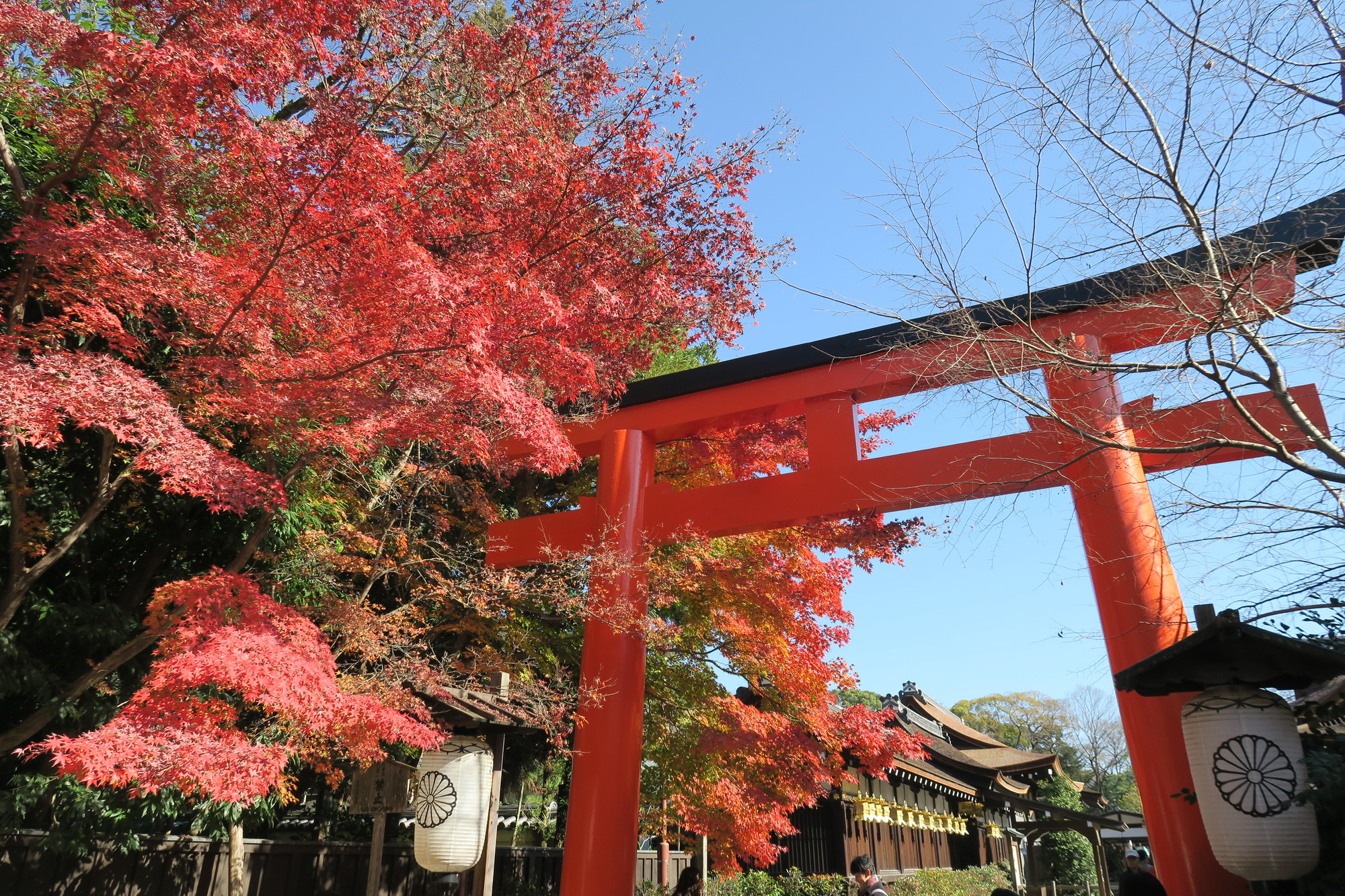 京都・下鴨神社
