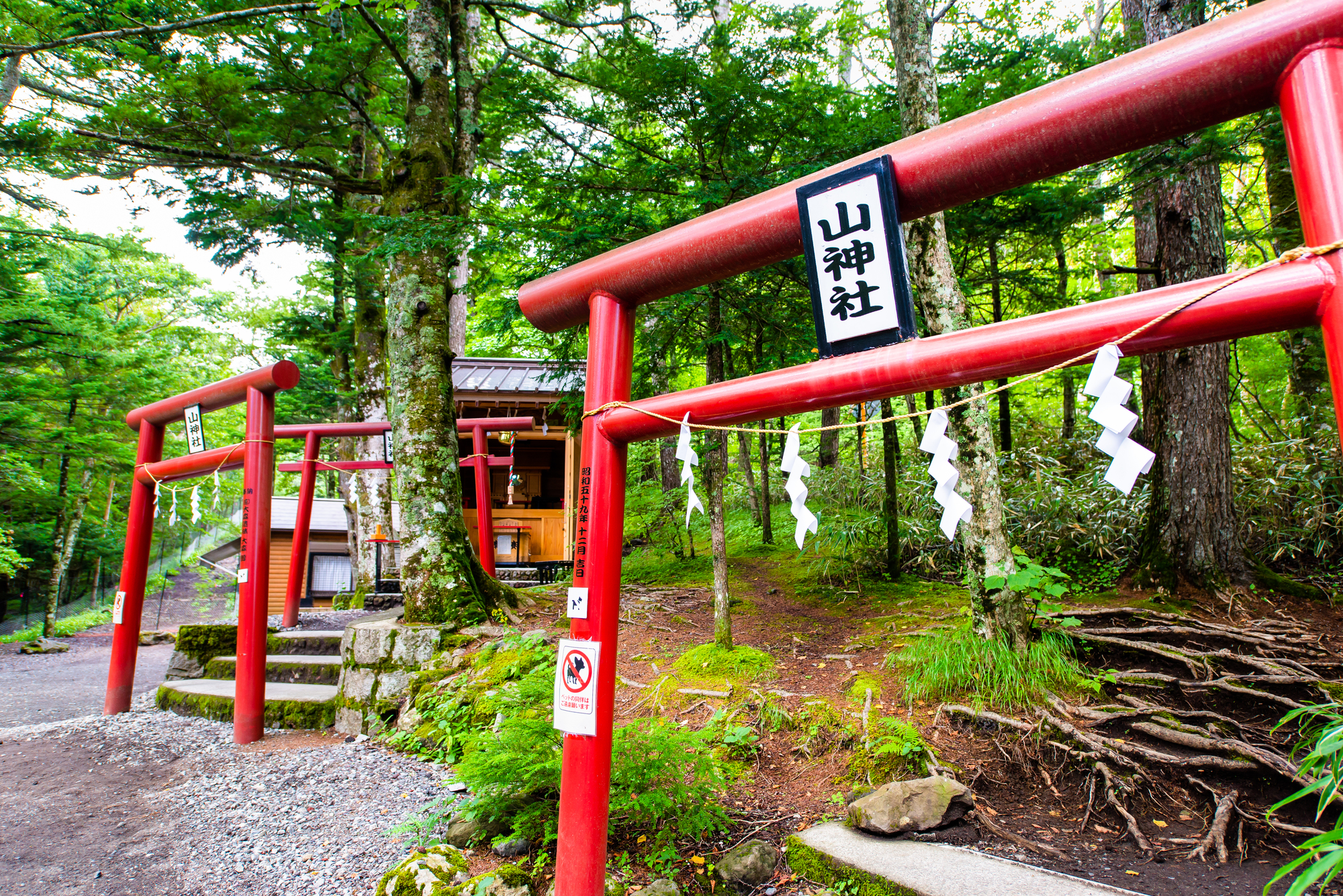 いよいよ奥宮へ