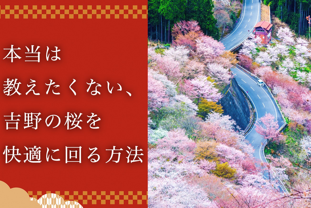 本当は教えたくない、吉野桜の鑑賞方法