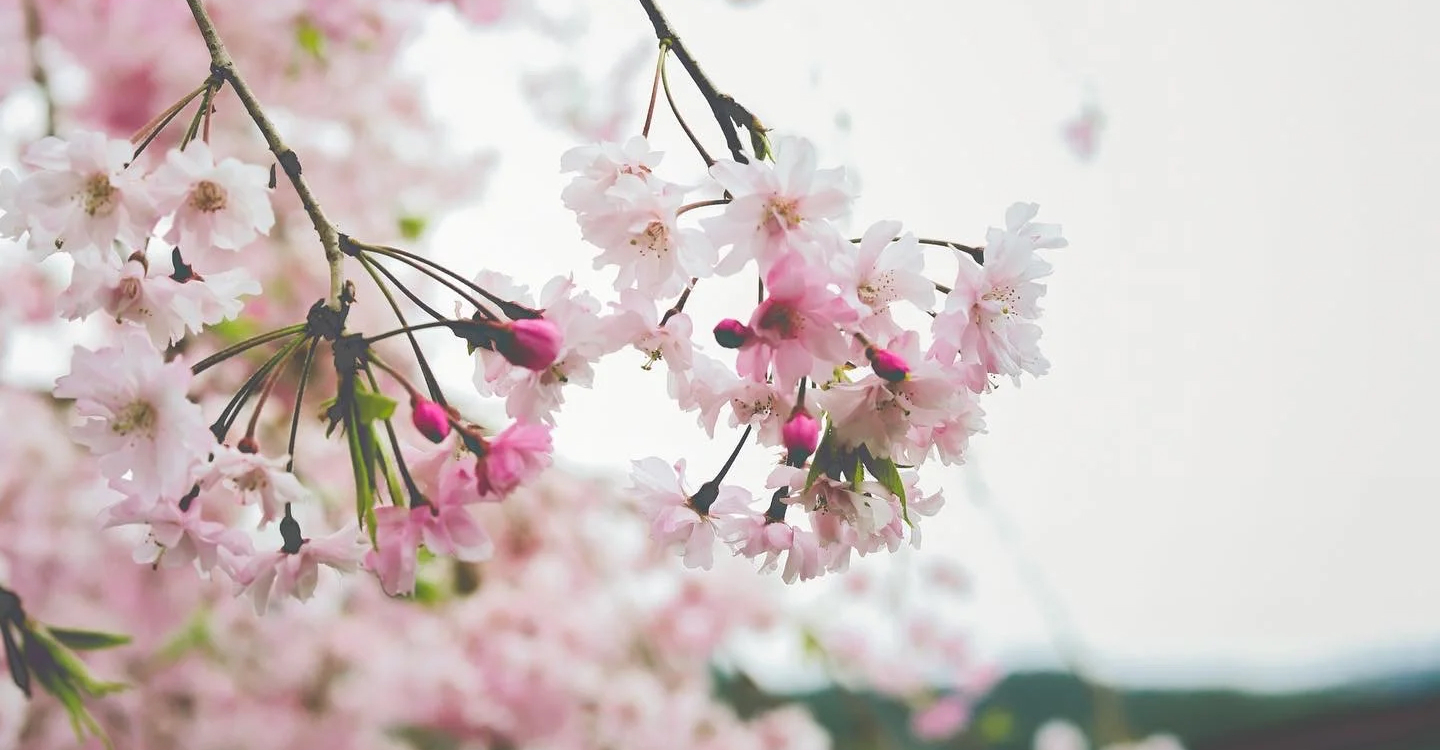 コラム更新について