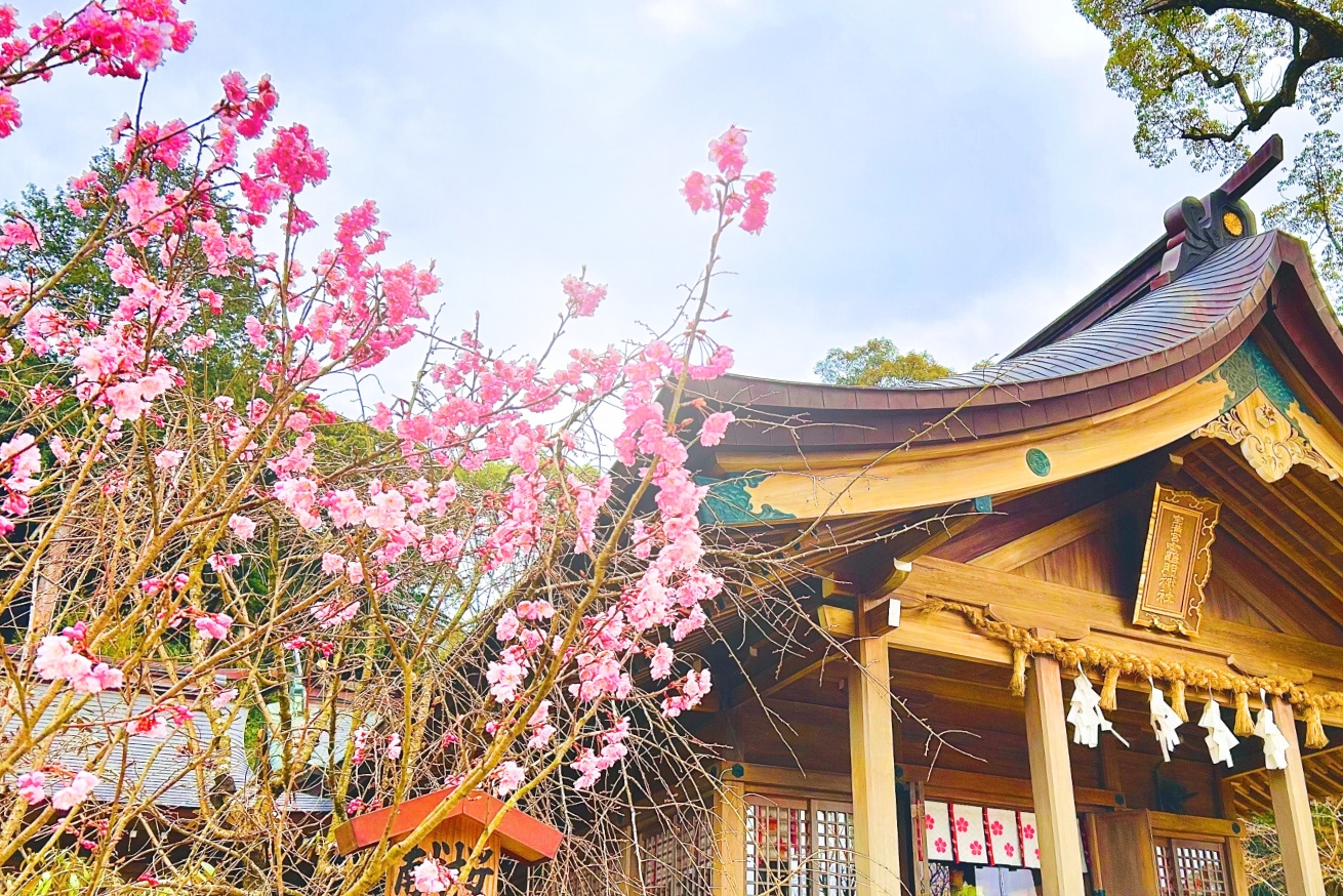 宝満宮竈門神社