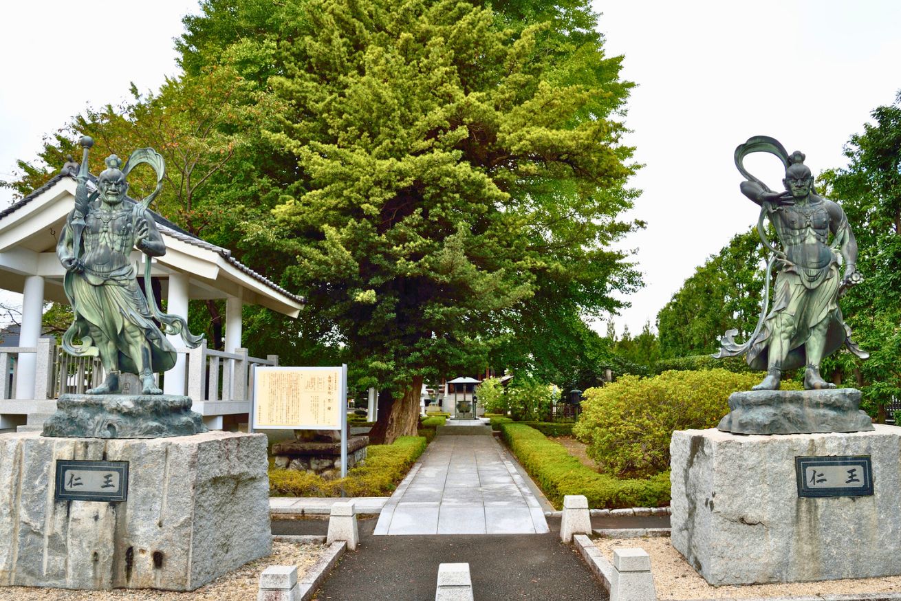 妙法山 星谷寺（星の谷観音）