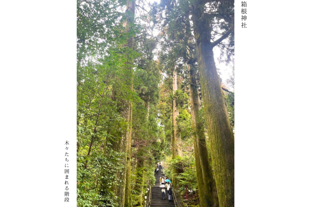 箱根神社参道