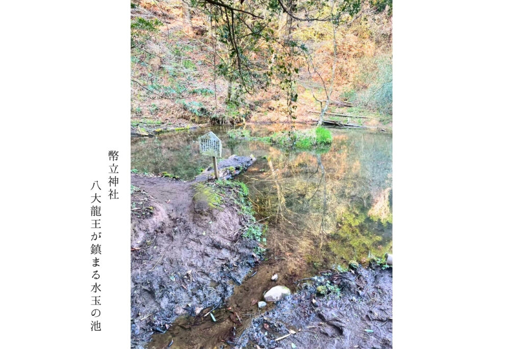 幣立神社_水玉の池
