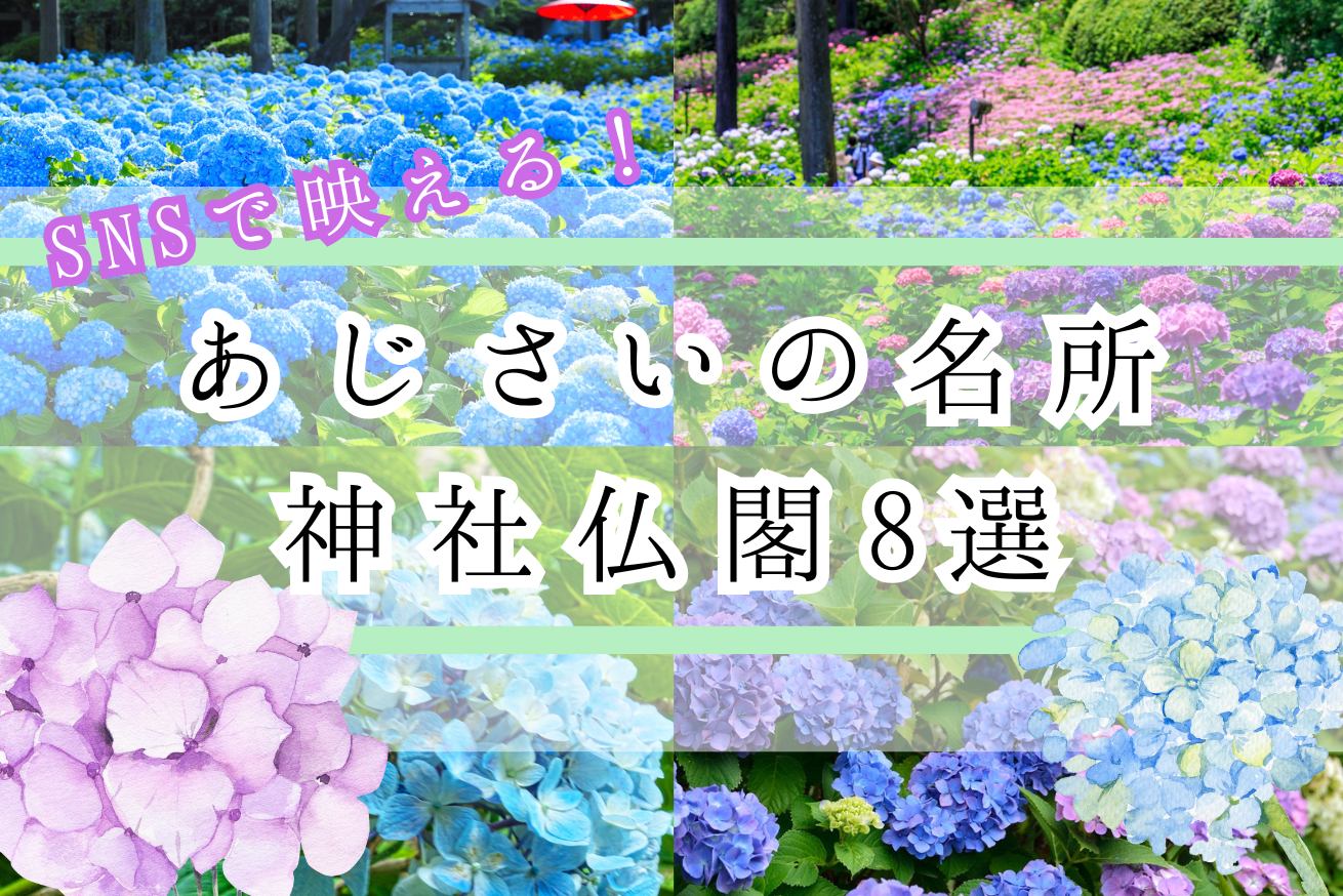 SNS映えもバツグン！梅雨こそ行きたい紫陽花の名所・神社仏閣8選