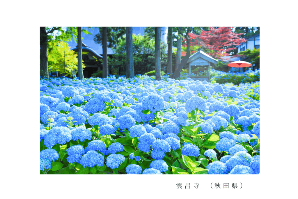 雲昌寺 (秋田県)